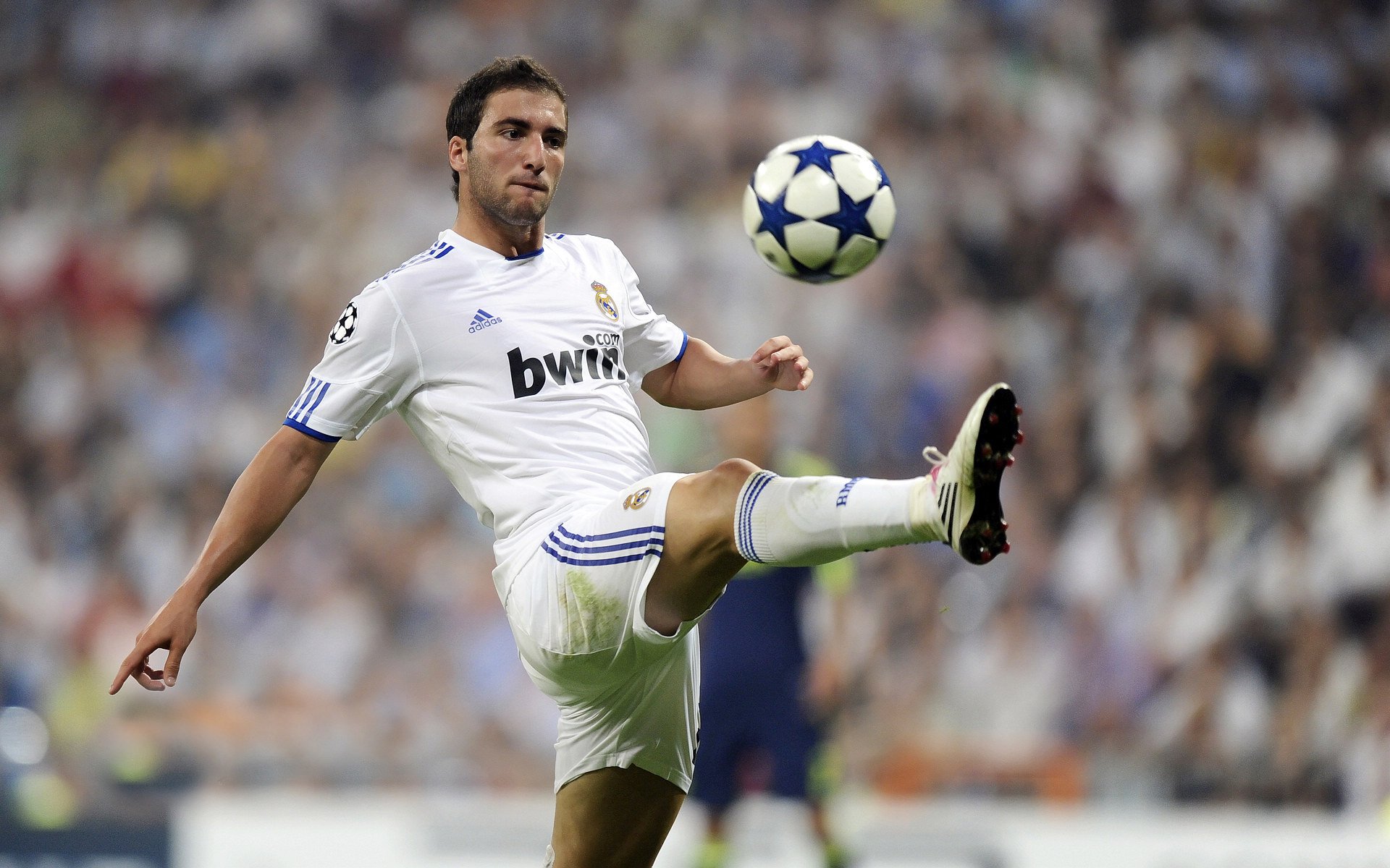 跨越疆界的传奇，从南非橄榄球场到NBA总决赛的统治力启示